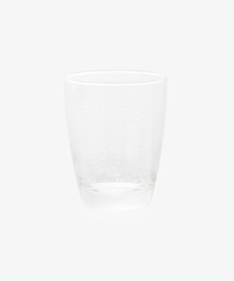 ソリッドプリントグラスM/CERVE