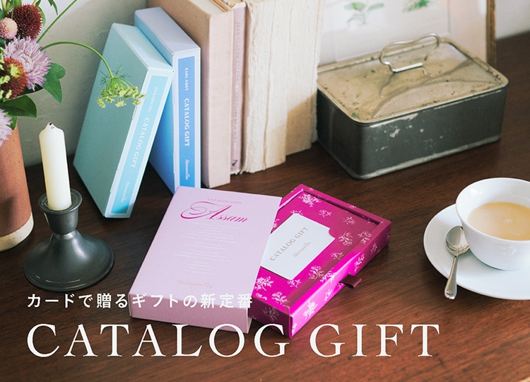 カタログ特集